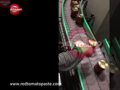 Konserve Üçlü Konsantre Domates Pastası 425g Kapak Açık Kapak