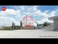 Kırmızı Domates Gıdaları Hakkında