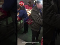 Konserve domates hamuru, hattaki kalite kontrolü.