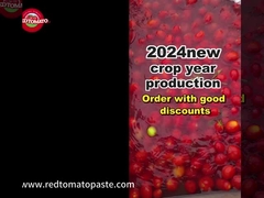 Tomat hamuru örneği