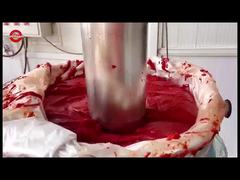 Ayağa kalk, domates pastası.